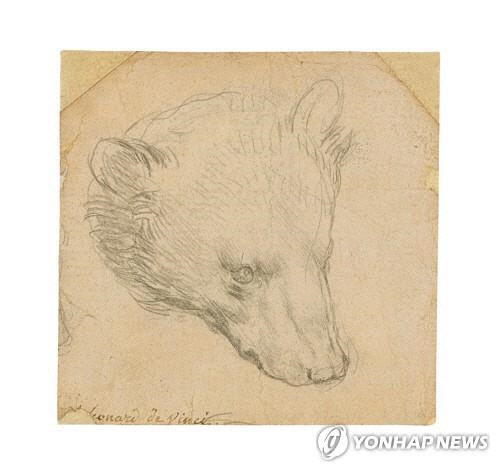 레오나르도 다빈치의 작품 '곰의 머리(Head of a bear)'. [로이터=연합뉴스]